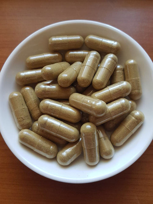 Nettoyage des vers parasites